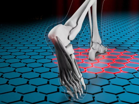 Специальные ортопедические стельки TALUS «АНТИШПОРА»