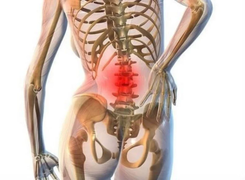 Ортопедические средства профилактики остеохондроза. Новейшие российские разработки для здоровья позвоночника